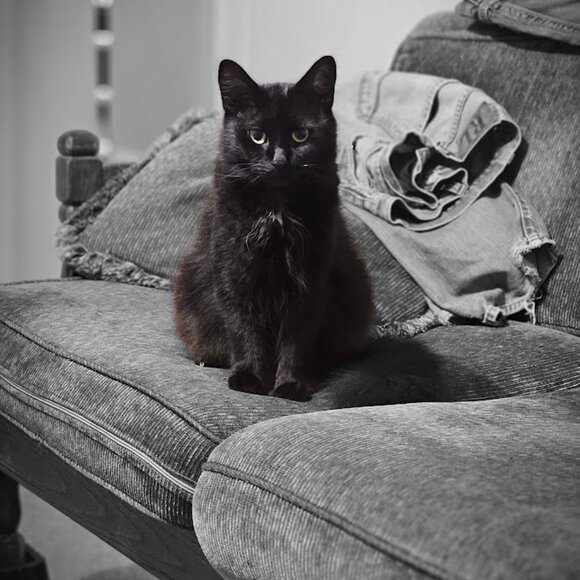 Come and chill with us!! - Picture 5 of 8